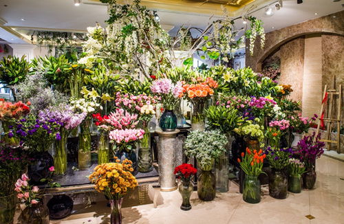 潮州广济桥高清图