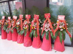 图 重庆梁平鲜花店订生日鲜花网上订花送花快 重庆鲜花绿植