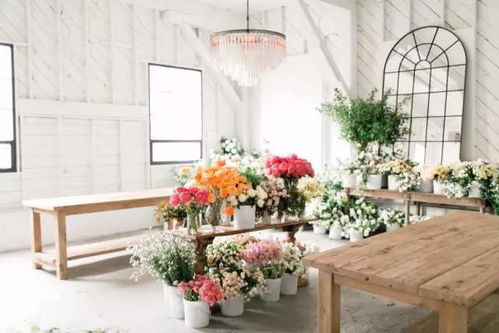 金华花店培训丨花店常用品及工具材料