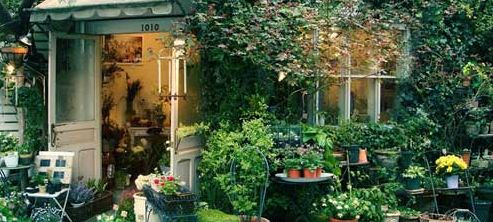 王顺杰 花店经营技巧 花店如何玩转跨界营销,让用户轻松消费你的跨界产品