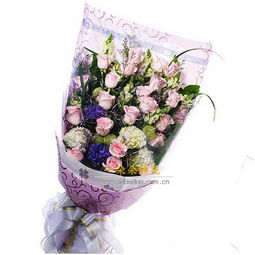 彩色玫瑰23枝 特殊 彩色玫瑰23枝 特殊价格 彩色玫瑰23枝 特殊含义 一朵朵鲜花网