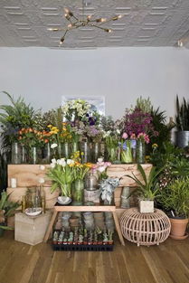 适不适合开花店,看这几点就够了