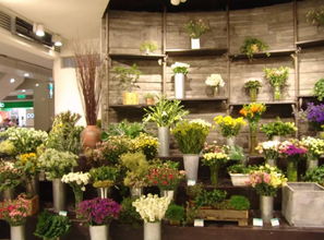 初级英语听力练习 购物中心的花店