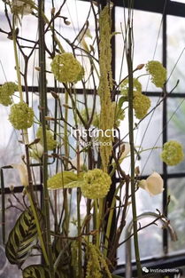 架构花艺 打造既好玩又好卖的商业花店产品