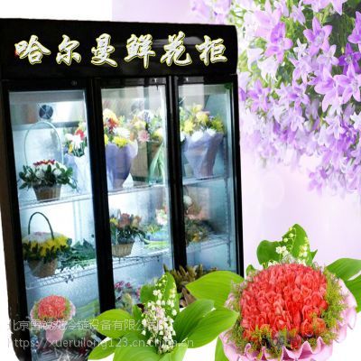 花店保鲜柜选购指南 价格、厂家与实用功能解析