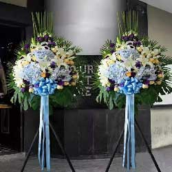 贵阳云岩区花店 繁华都市中的自然芬芳