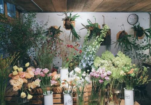 北京八家文艺花店，点亮沉闷冬日的缤纷心情