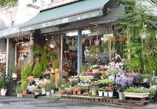 这5个小本生意轻松月入万元，还要继续打工吗？花店篇