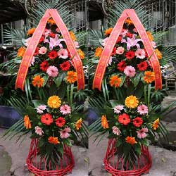 贵阳花店 城市绿洲与情感驿站