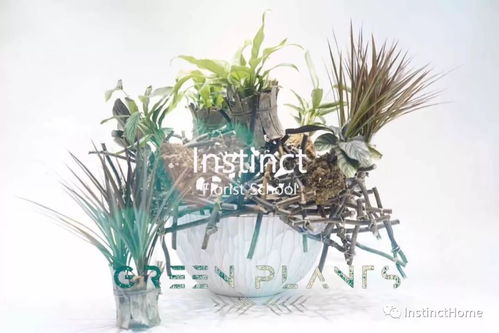 架构花艺触手可及 零基础打造热销商业花店架构产品的三月进阶指南