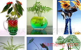 子熊工艺 从儿童玩具到花艺生活，开启多元加盟新篇章