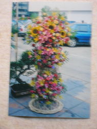 艺之尚鲜花店 用艺术与芬芳点缀生活的诗意空间